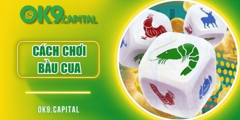 Cách Chơi Bầu Cua Chuẩn Xác Nhanh Thắng Lớn 100%